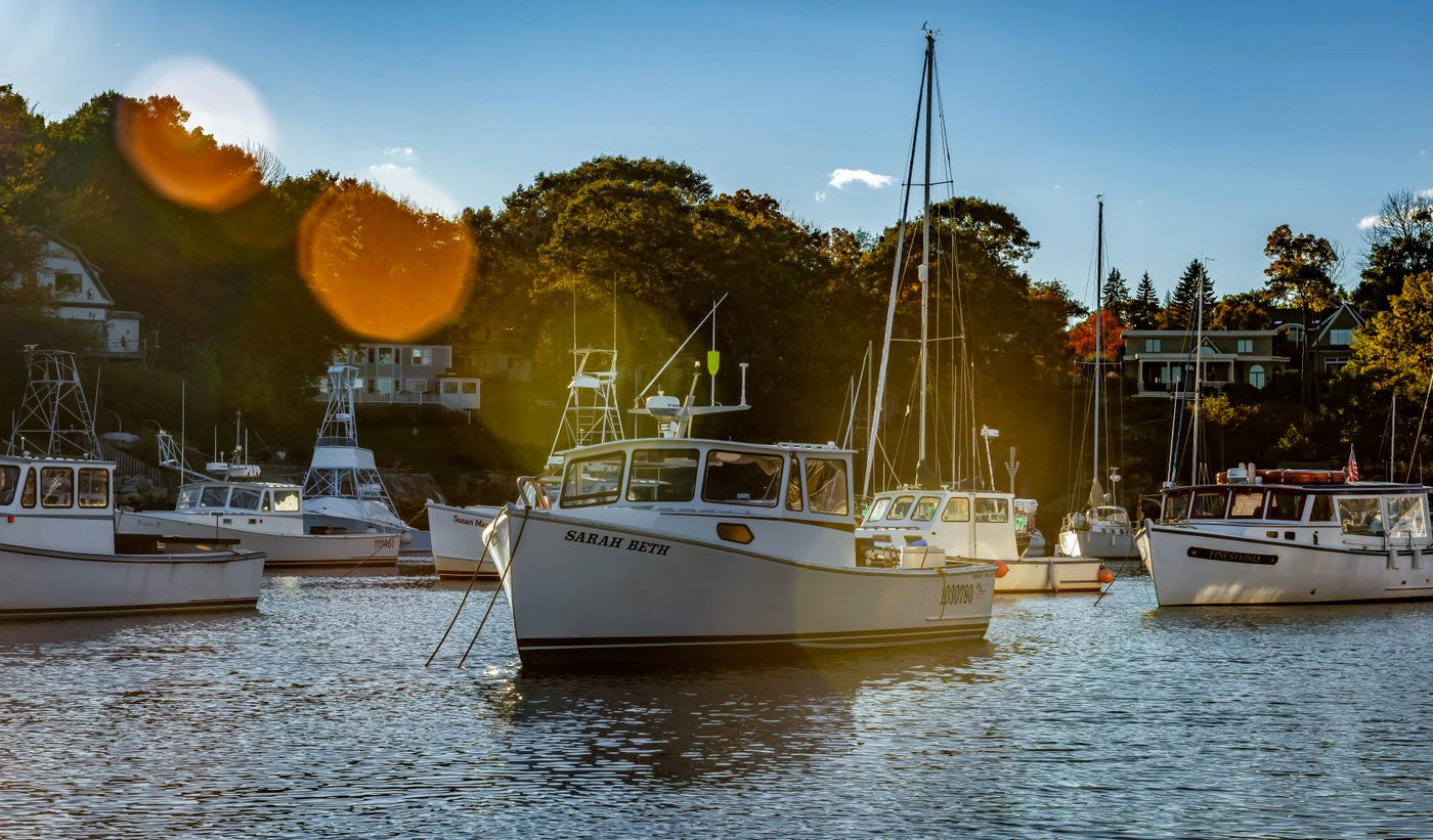Warm autumn light over fishing boats and trees at an Ogunquit harbor